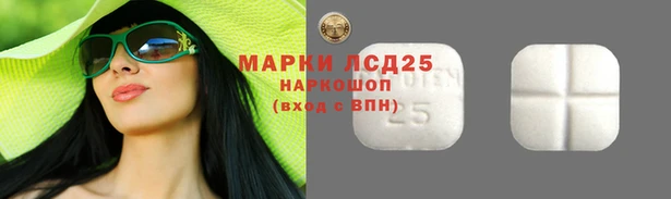 амф Надым