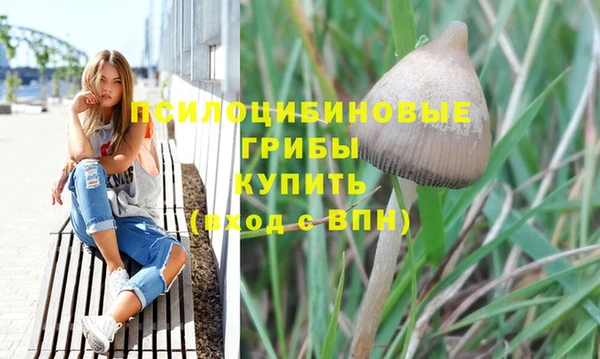 трава Киров