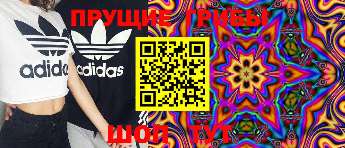 Галлюциногенные грибы ЛСД  Галлюциногенные грибы Magic Shrooms  Шуя  Вход с VPN 